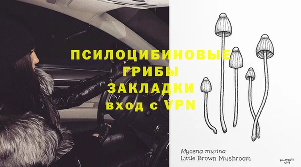таблы Алексин