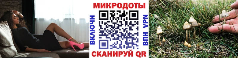купить закладку  Усть-Лабинск  Псилоцибиновые грибы Magic Shrooms 